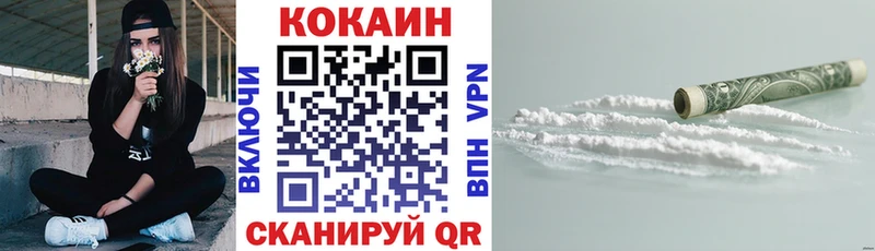 COCAIN Fish Scale  Купить закладки  Долинск 