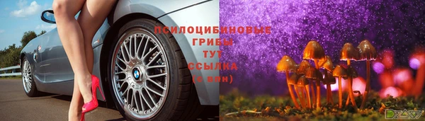 ешки Алексеевка