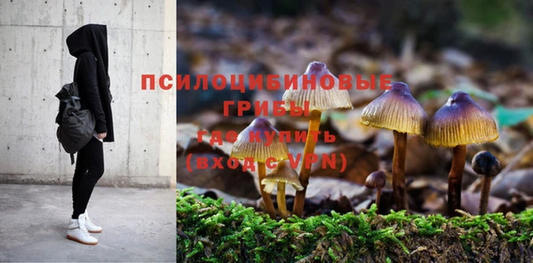 apvp Аркадак